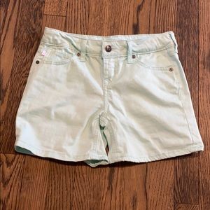 Tommy Bahamas mint green shorts